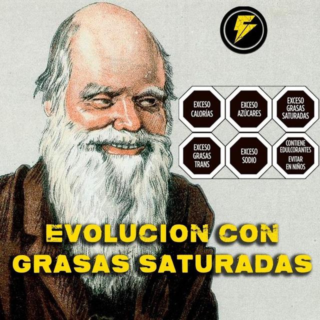 8: FreakTalk - S408 - Evolución con grasa saturada - podcast episode cover