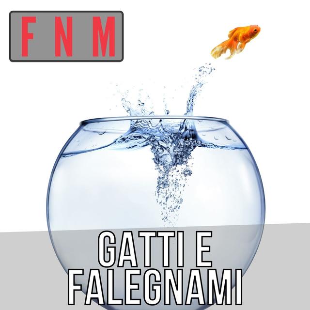 Gatti e falegnami - podcast episode cover