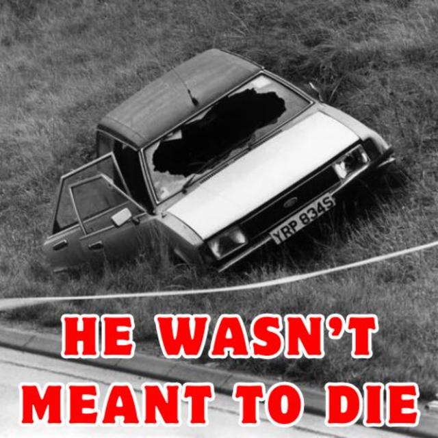 The Accidental Murder of David Wilkie - podcast episode cover