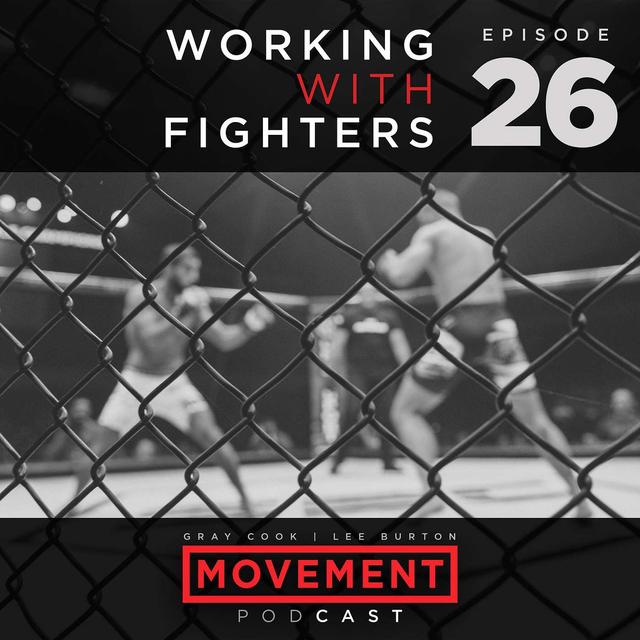 Working with Fighters - podcast episode cover