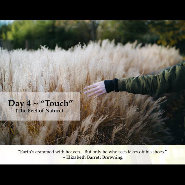 MZD - Ep 54 Touch - podcast episode cover