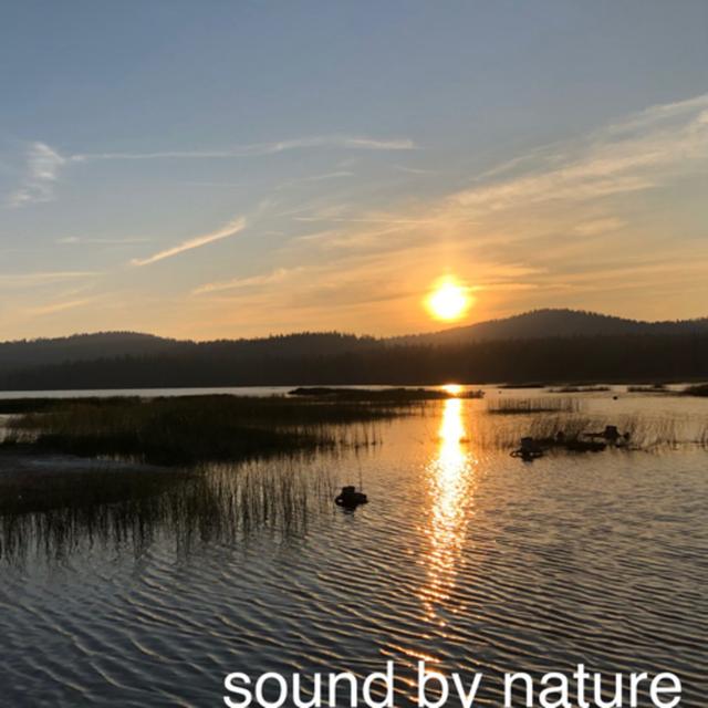 117: Binaural Nature Walk- Warm Autumn Day On The Cabin Creek Trail - podcast episode cover