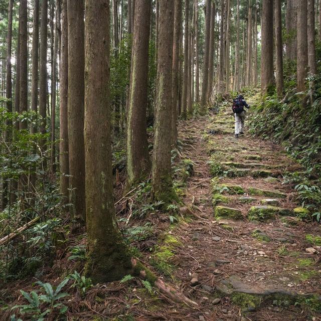 [Rebroadcast] The sublime boredom of walking in Japan - podcast episode cover