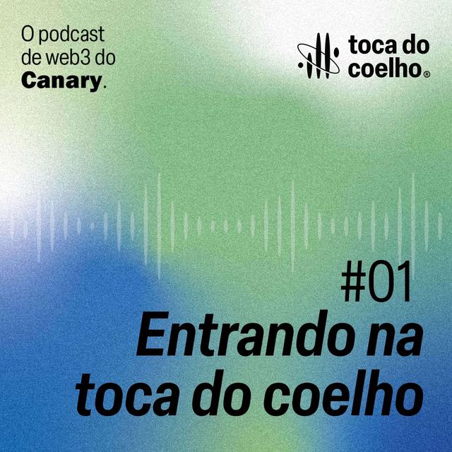 #01 - Entrando na toca do coelho - podcast episode cover