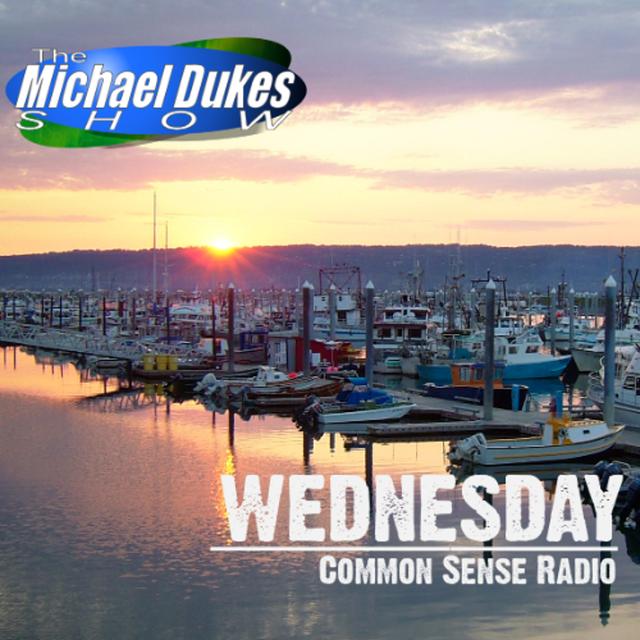 Wednesday 5/28/25 | Thumbelina in Homer | Rep Sarah Vance on Session - podcast episode cover