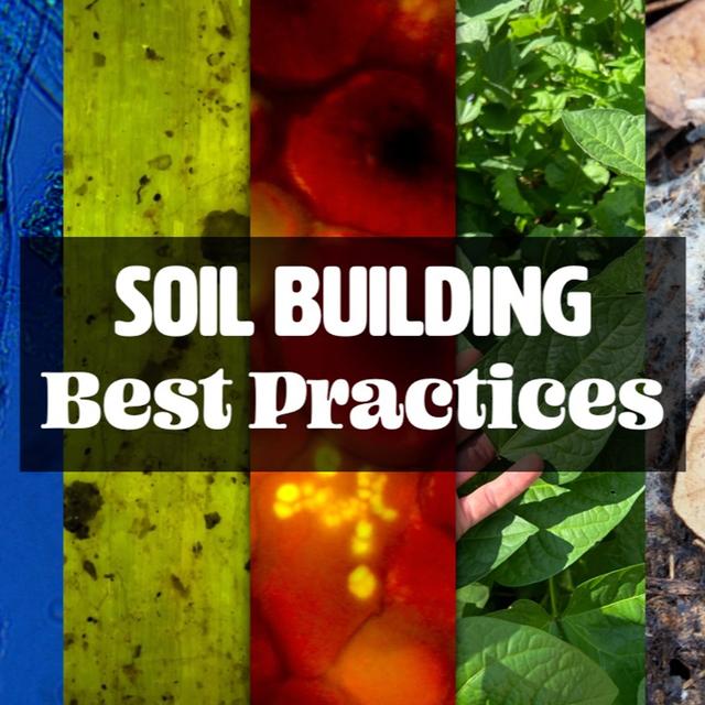 Soil Building Best Practices with Matt Powers [FULL WEBINAR] - podcast episode cover