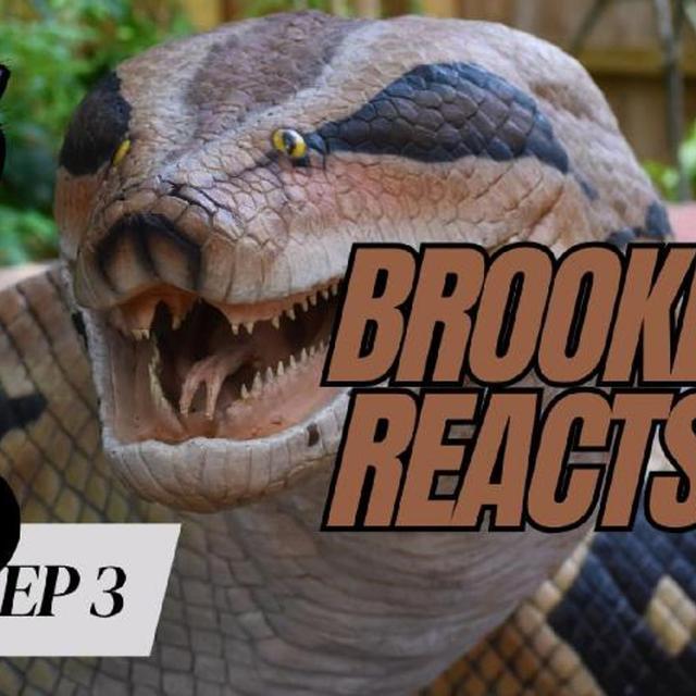 BrookeTok Reacts - Overdose Ep 3 - podcast episode cover