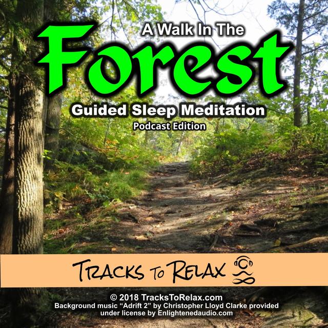 Forest Walk Sleep Meditation - podcast episode cover