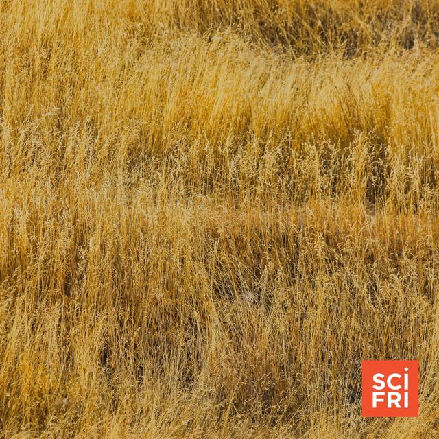 The Ruin And Redemption Of The American Prairie - podcast episode cover