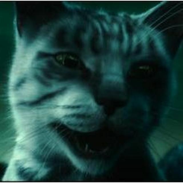 Episode #21 - Catwoman and Uninvited - podcast episode cover