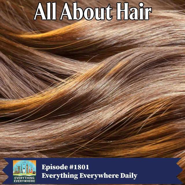 All About Hair - podcast episode cover