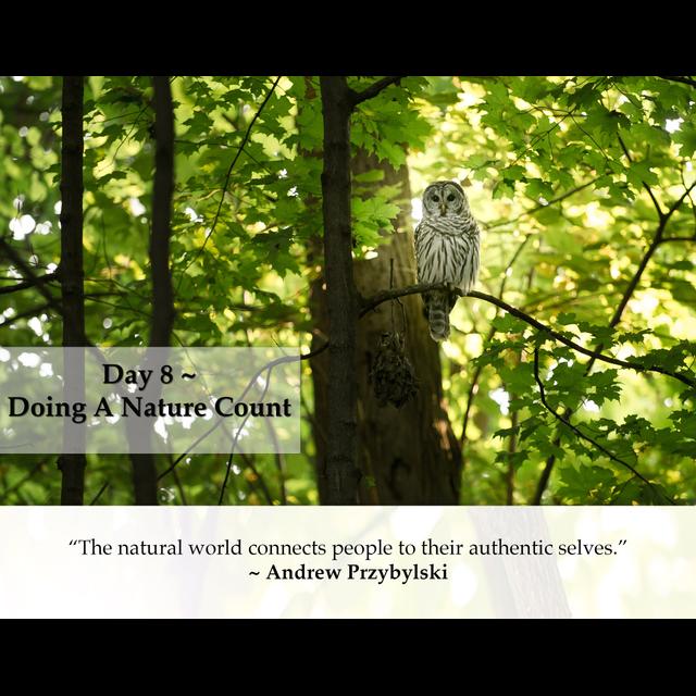 MZD - Ep 58 Doing A Nature Count - podcast episode cover