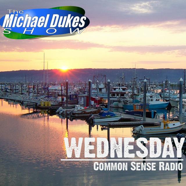 Wednesday 12/18/24 | Rep Vance on Elections | Senator Mike Shower - podcast episode cover