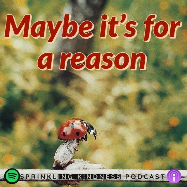 Maybe it's for a reason S1E7 - podcast episode cover
