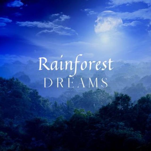 Rainforest Dreams: Soundscape for Sleep and Relaxation - podcast episode cover