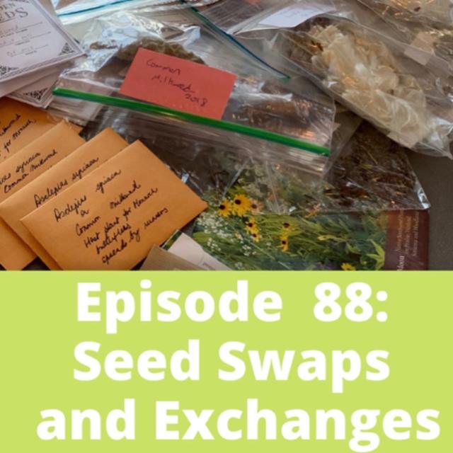 Seed Swaps and Exchanges - podcast episode cover