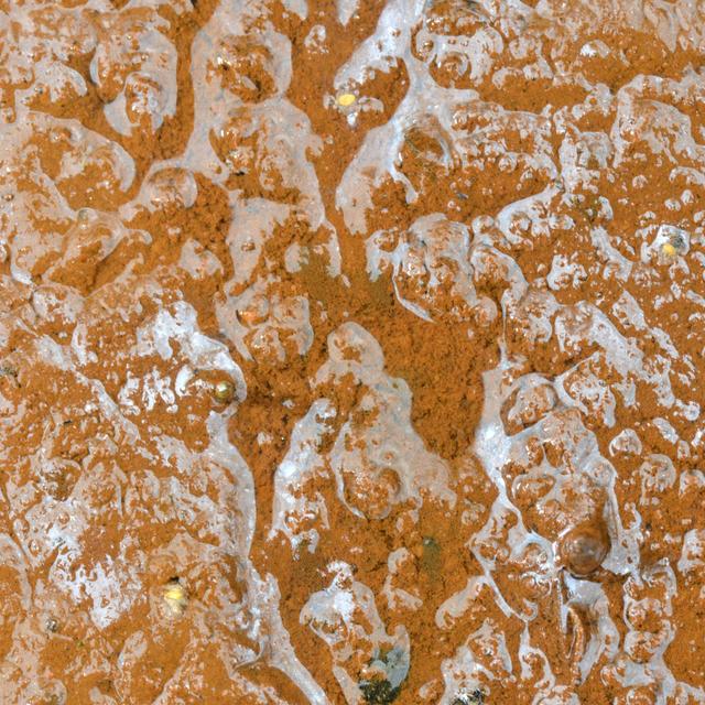 Ancient Rock Art Got a Boost From Bacteria - podcast episode cover