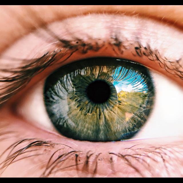 The Basics of Eyes - podcast episode cover