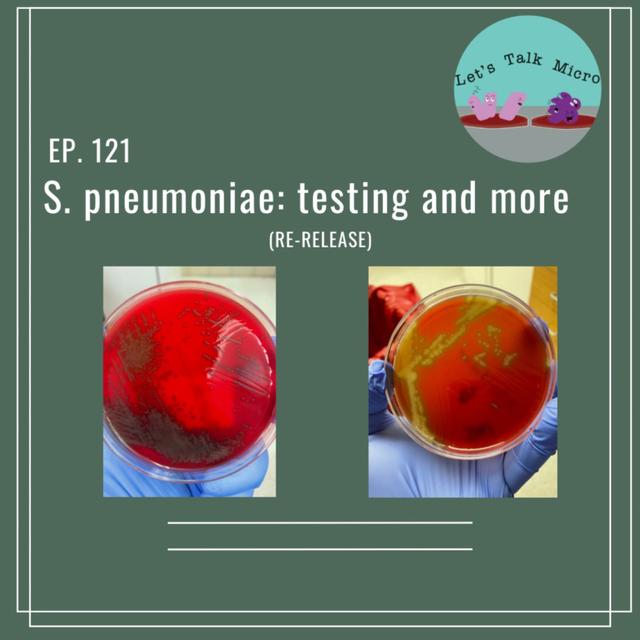 121: S. pneumoniae: testing and more (re-release) - podcast episode cover