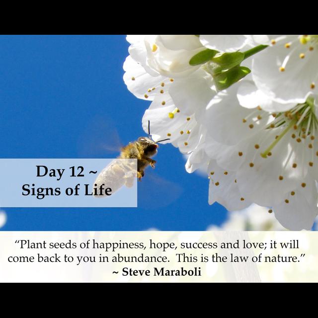 MZD - Ep 62 Signs of Life - podcast episode cover