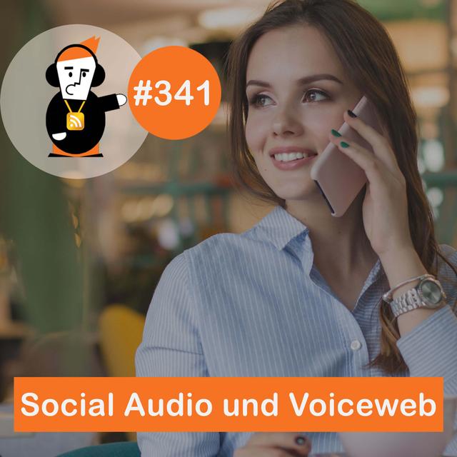 Blick 341 auf Chancen von Social Audio und Voiceweb - podcast episode cover