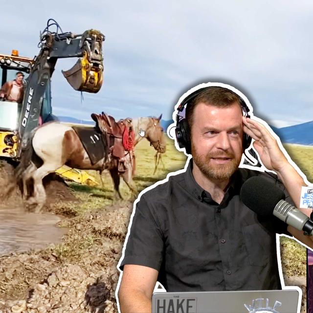 Stuck in the mud! | Thu 5-29-25 - podcast episode cover