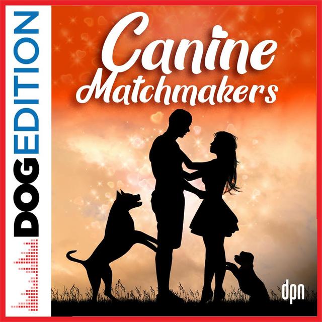 Canine Matchmakers | Dog Edition #83 - podcast episode cover