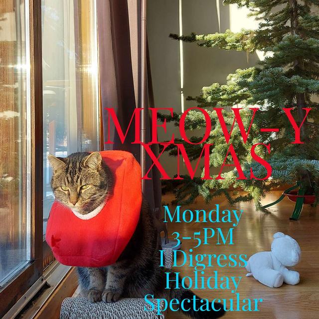Pammer The Red Nosed Reindeer - podcast episode cover