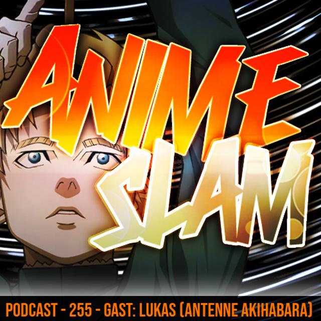 Podcast - 255 - Gast: Lukas (Antenne Akihabara) - podcast episode cover