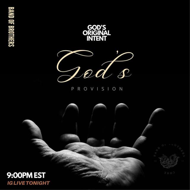 God's Original Intent: God's Provision - podcast episode cover