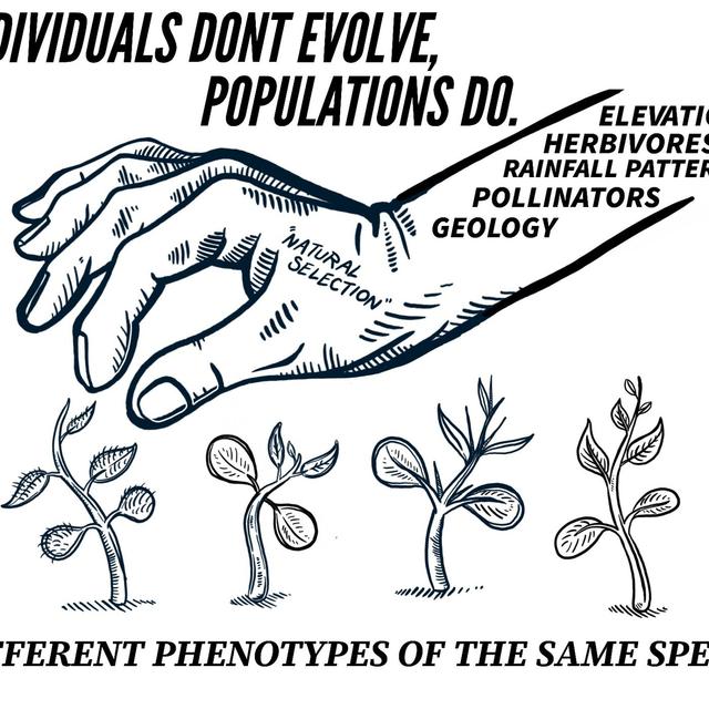 Plant Speciation Podcast for You Rotten Degenerates - podcast episode cover
