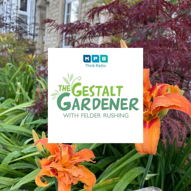The Gestalt Gardener | Bye Bye July - podcast episode cover