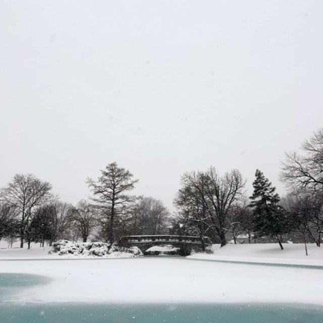 Snow Day: Snow in Cincinnati Brings Back Memories of a 1979 Snow - podcast episode cover