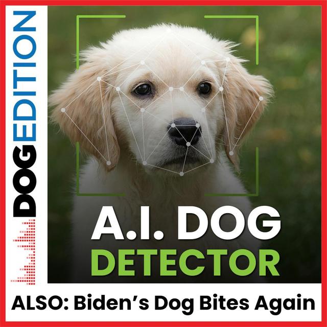 AI Dog Detector | Dogs Bond | Biden's Dog Bites Again | Dog Edition #13 - podcast episode cover