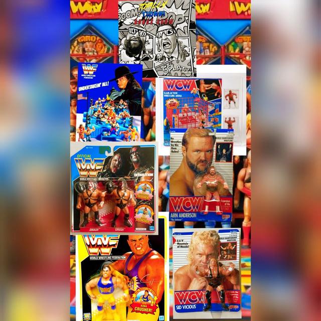 TotallyTIDRP Bonus Episode 5 - WWF Hasbros Vs WCW Galoobs - podcast episode cover