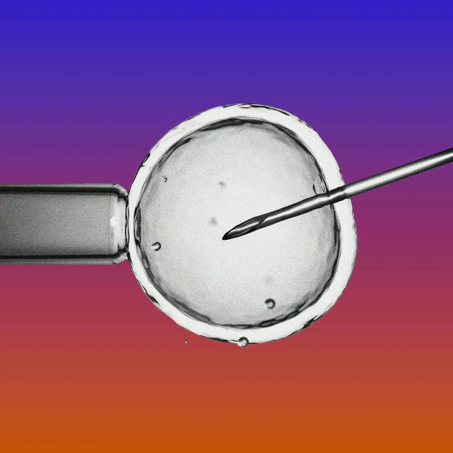 How IVF Became the GOP's Next Battle - podcast episode cover
