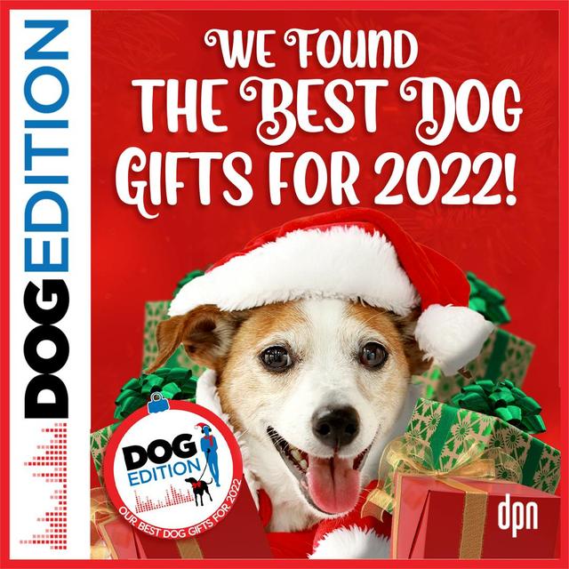We Found the Best Dog Gifts for 2022! | Dog Edition #73 - podcast episode cover