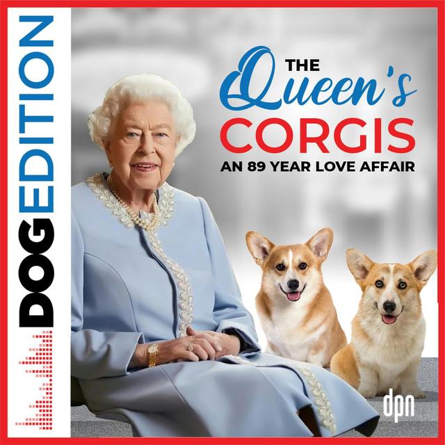 The Queen’s Corgis: An 89-Year Love Affair | Dog Edition #65 - podcast episode cover