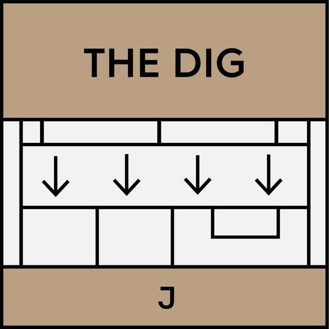 Dig: The Right to Sex with Amia Srinivasan - podcast episode cover