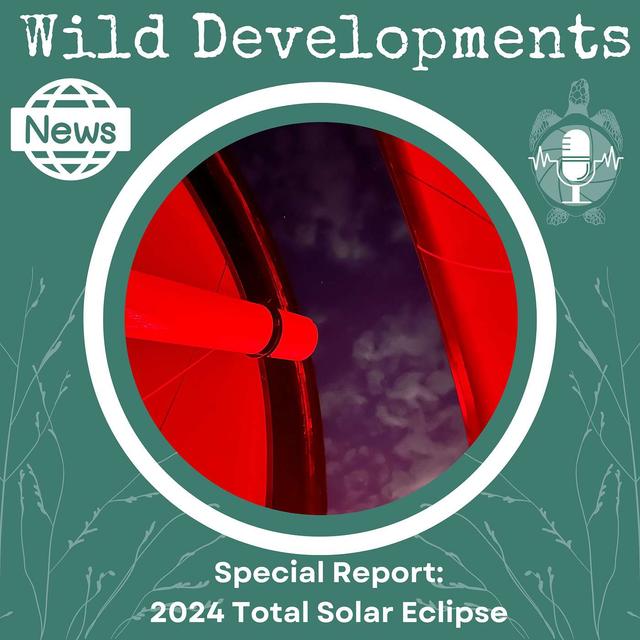 Special Report: 2024 Solar Eclipse - podcast episode cover