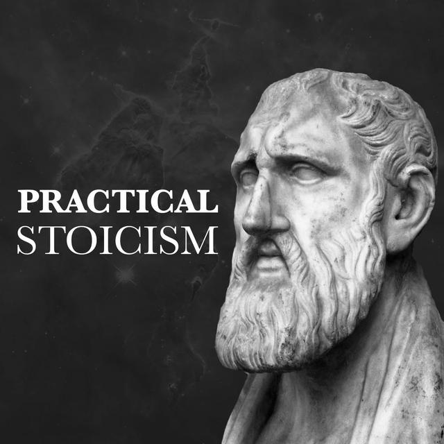 Strive For The Ideal, Don't Expect It - podcast episode cover