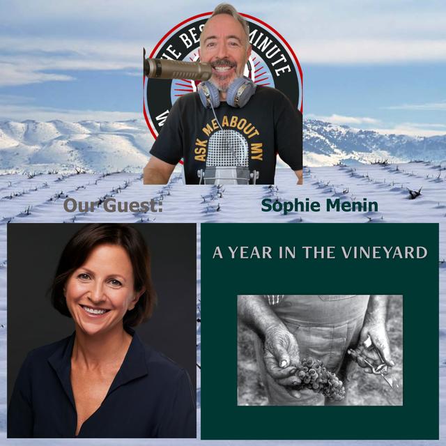 A Year in the Vineyard - Sophie Menin Pt. 3 - podcast episode cover