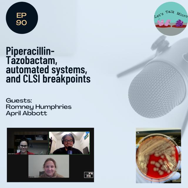 90: Piperacillin-Tazobactam, automated systems, and CLSI breakpoints - podcast episode cover