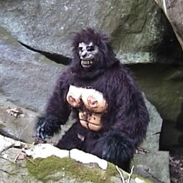 Episode #98 - Suburban Sasquatch - podcast episode cover