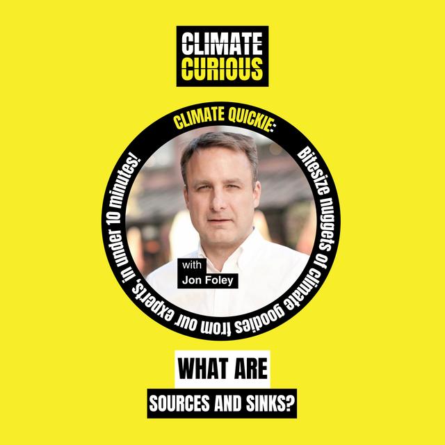 What are sources and sinks? - podcast episode cover
