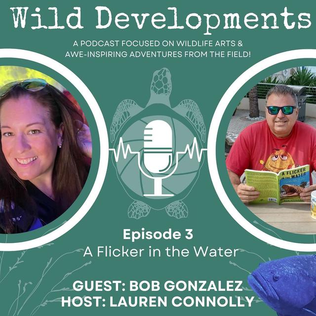 A Flicker in the Water - podcast episode cover