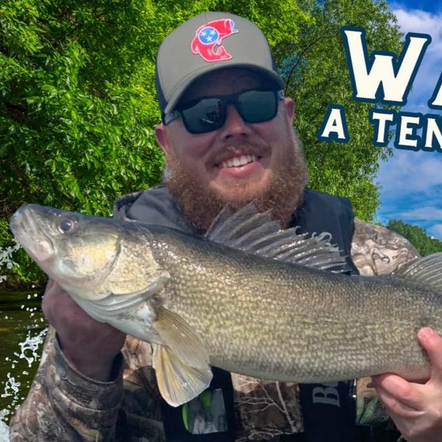 TW 370 - Walleye, A Tennessee Secret - podcast episode cover