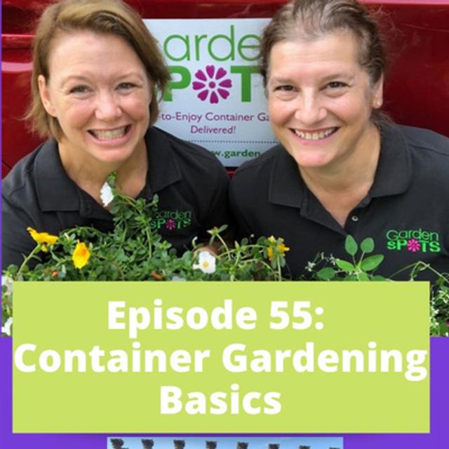 Container Gardening Basics - podcast episode cover