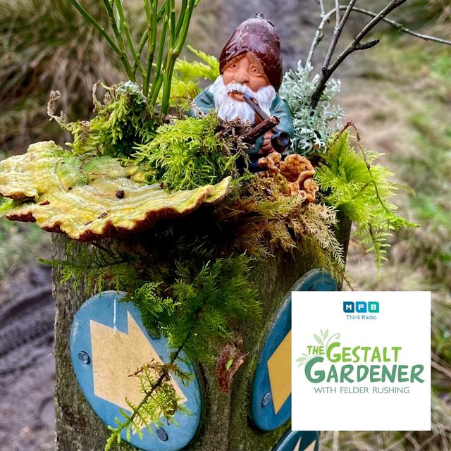 The Gestalt Gardener | Blustery Day - podcast episode cover