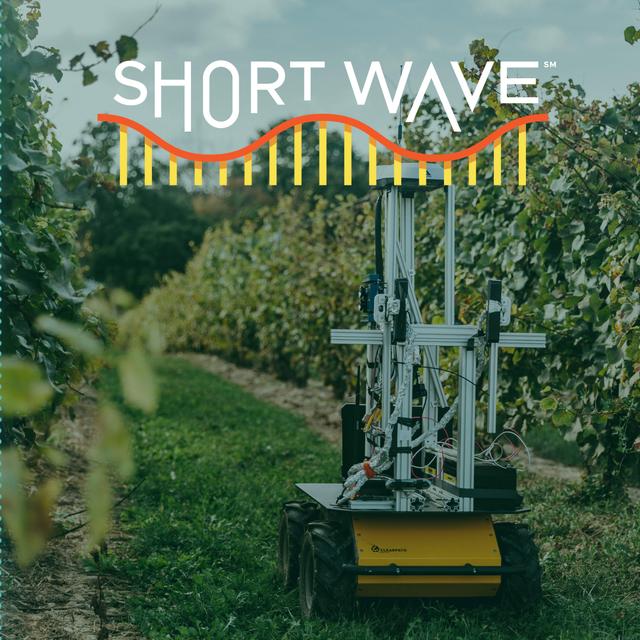 Grape Growers' Next Collaborators? Robots - podcast episode cover